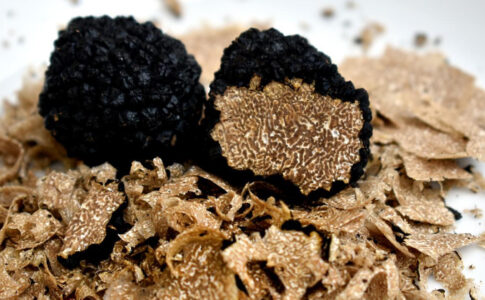 Truffes fraîches pour les fêtes, une expérience culinaire inoubliable !